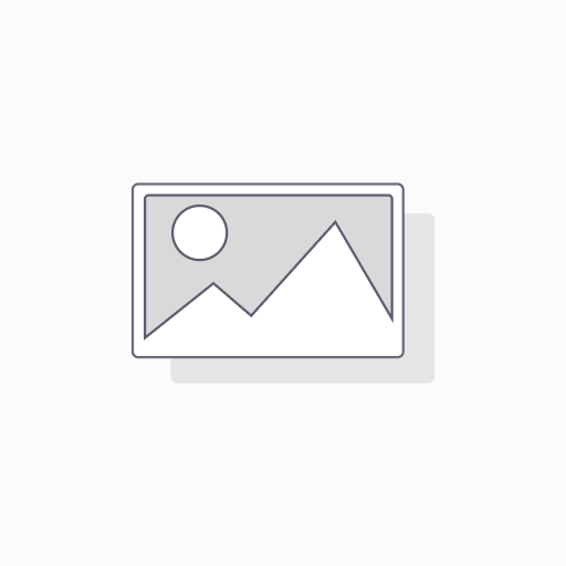 Business Unit Strategy Consulting